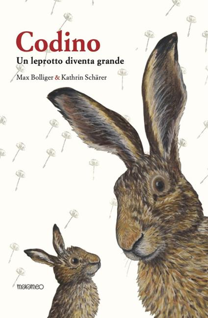 Codino. Un leprotto diventa grande - Max Bolliger - copertina