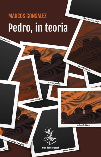 Pedro, in teoria - Marcos Gonsalez,Marina Finaldi - ebook
