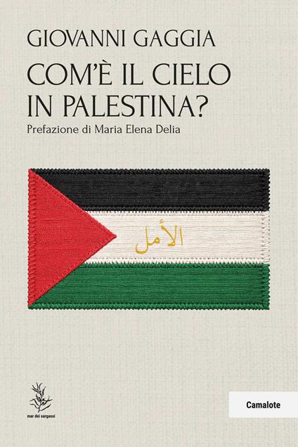 Com'è il cielo in Palestina? - Giovanni Gaggia - copertina