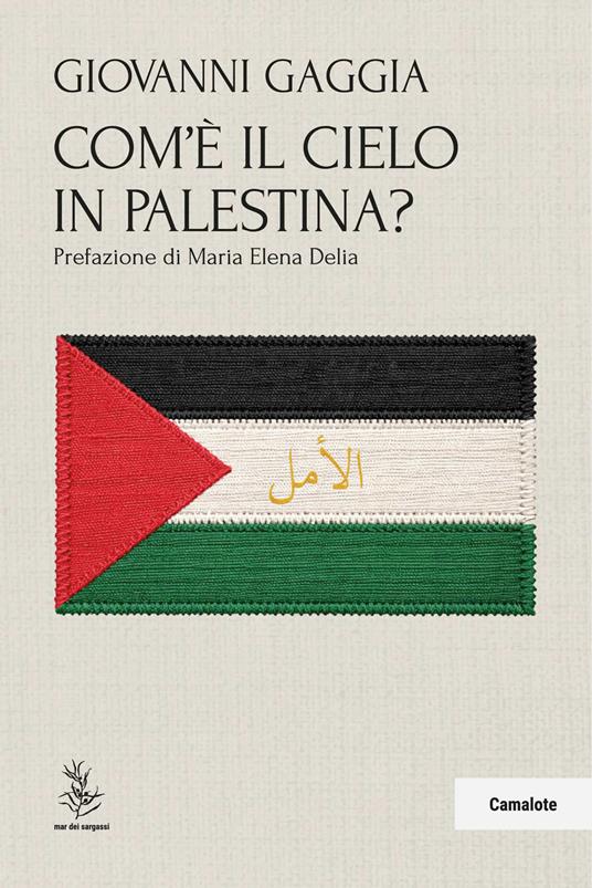 Com'è il cielo in Palestina? - Giovanni Gaggia - copertina