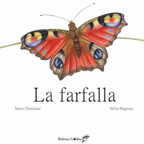 La farfalla. Ediz. illustrata - Marco Turriziani - copertina