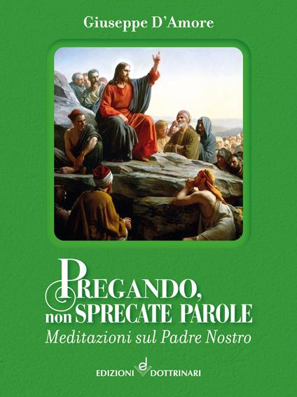 Pregando, non sprecate parole. Meditazioni sul Padre Nostro - Giuseppe D'Amore - copertina