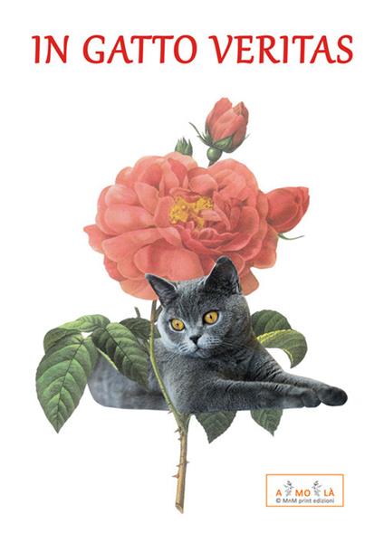 In gatto veritas - copertina