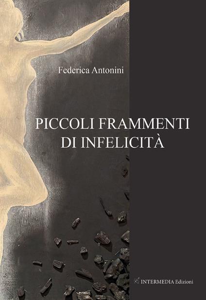 Piccoli frammenti di infelicità - Federica Antonini - copertina