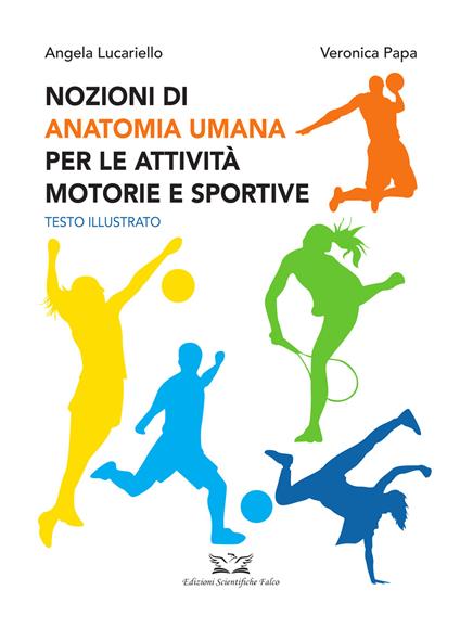 Nozioni di anatomia umana per le attività motorie e sportive - Angela Lucariello,Veronica Papa - copertina