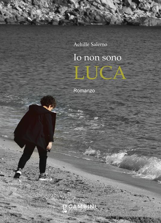 Io non sono Luca - Achille Salerno - copertina
