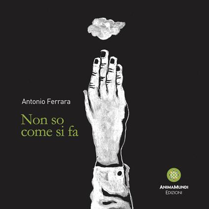 Non so come si fa - Antonio Ferrara - copertina