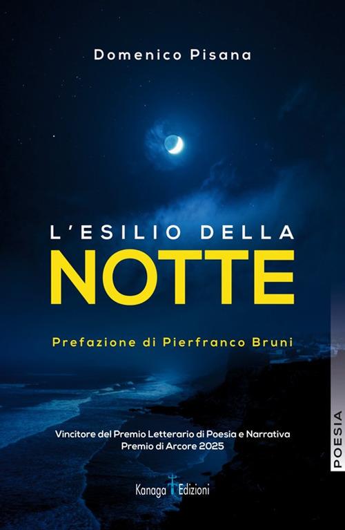 L'esilio della notte - Domenico Pisani - copertina