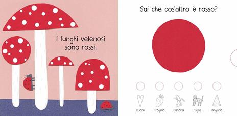Colori. La so! Ediz. a colori - Magda Garguláková - 2