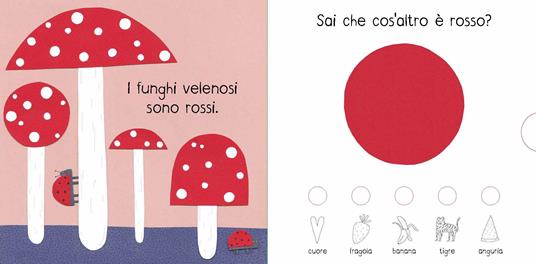 Colori. La so! Ediz. a colori - Magda Garguláková - 2