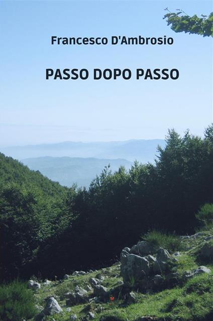 Passo dopo passo - Francesco D'Ambrosio - copertina