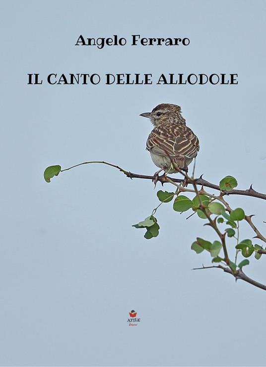Il canto delle allodole - Angelo Ferraro - copertina