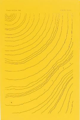 Giant willow oak - Amanda Sauer - copertina