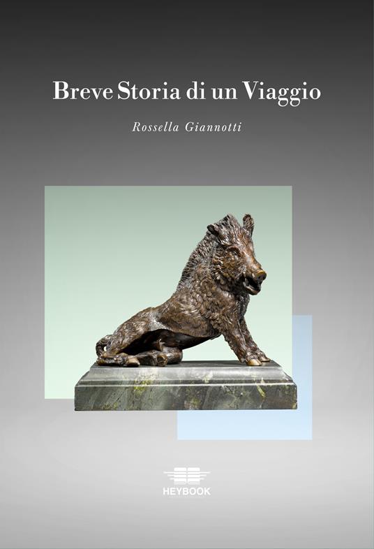 Breve storia di un viaggio - Rossella Giannotti - copertina