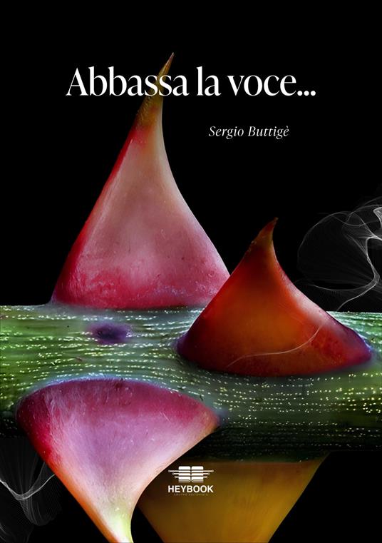 Abbassa la voce - Sergio Buttigè - copertina