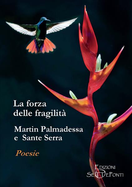 La forza delle fragilità - Martin Palmadessa,Sante Serra - copertina