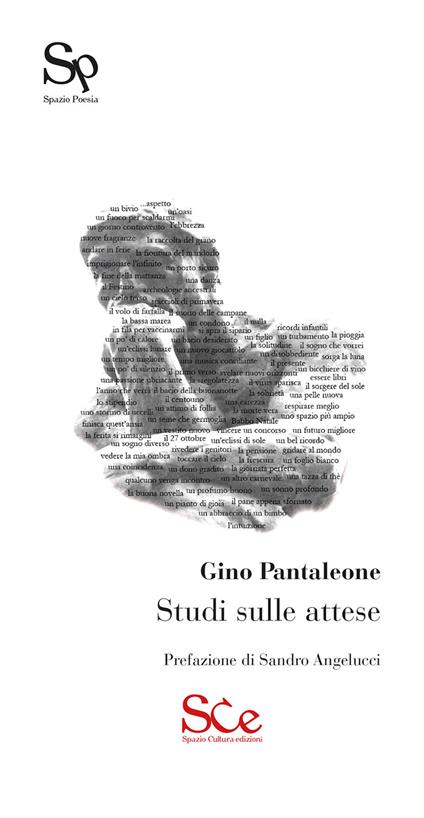 Studi sulle attese - Gino Pantaleone - copertina