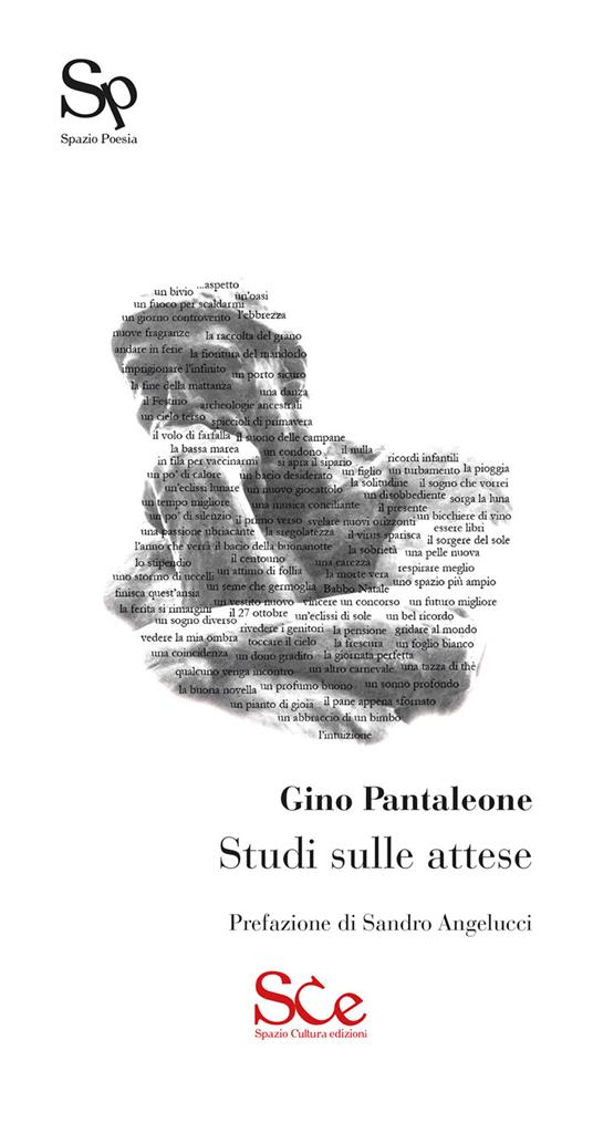 Studi sulle attese - Gino Pantaleone - copertina