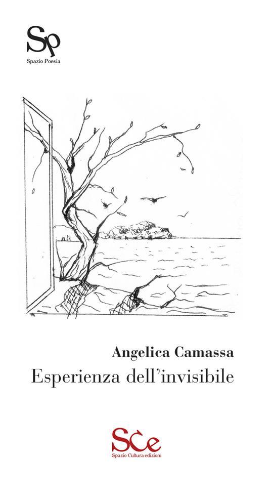 Angelica Camassa, “Esperienza dell’invisibile” (Spazio Cultura Ed.) – di Gabriella Maggio