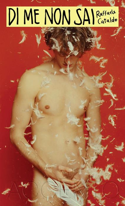 Di me non sai - Raffaele Cataldo - copertina