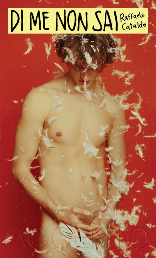 Di me non sai - Raffaele Cataldo - copertina