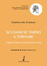 Scusami se tardo a tornare. Goffredo Parise: una questione di vita