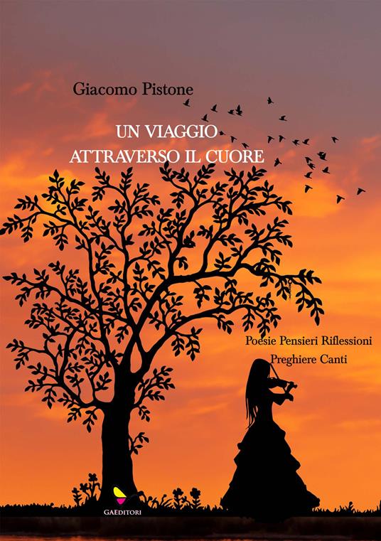 Un viaggio attraverso il cuore - Giacomo Pistone - copertina