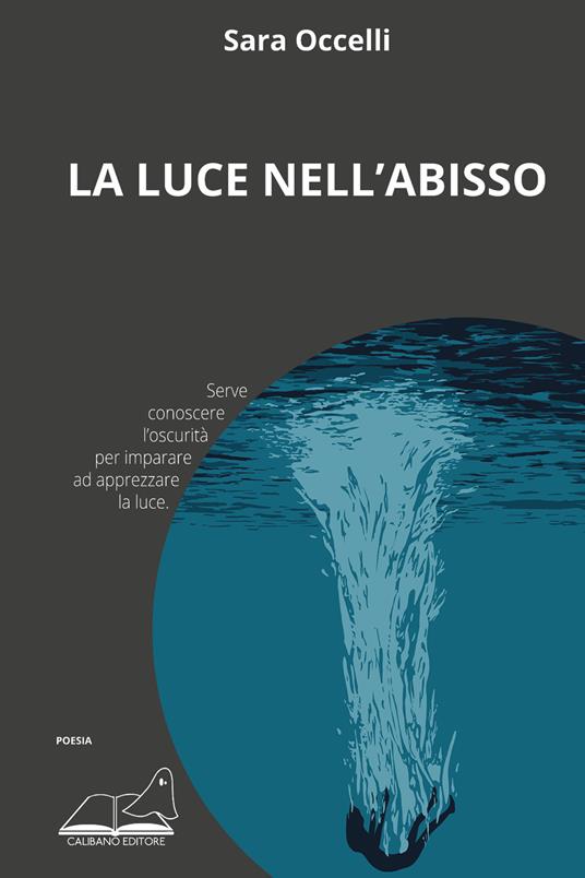 La luce nell’abisso - Sara Occelli - copertina