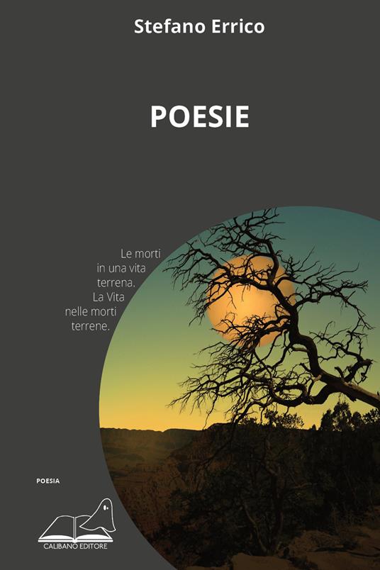 Poesie - Stefano Errico - copertina