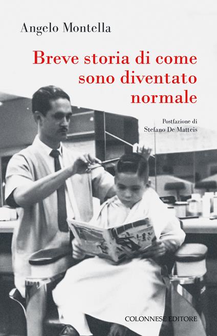 Breve storia di come sono diventato normale - Angelo Montella - copertina
