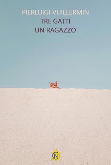 Tre gatti un ragazzo - Pierluigi Vuillermin - copertina