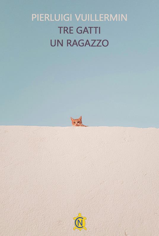 Tre gatti un ragazzo - Pierluigi Vuillermin - copertina