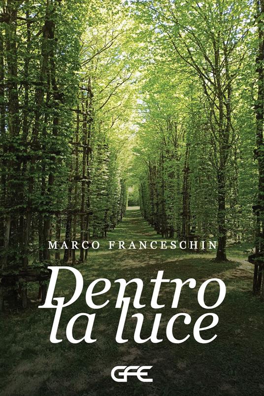 Dentro la luce - Marco Franceschin - copertina