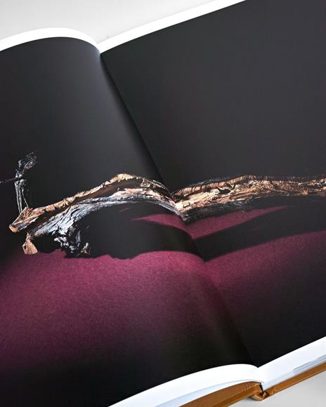 Villa Bucci. Ediz. italiana e inglese - Cinzia Benzi,Francesca Brambilla,Serena Serrani - 2