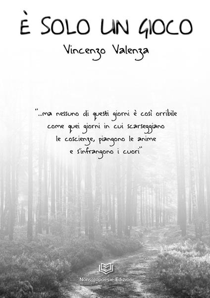 È solo un gioco - Vincenzo Valenza - copertina