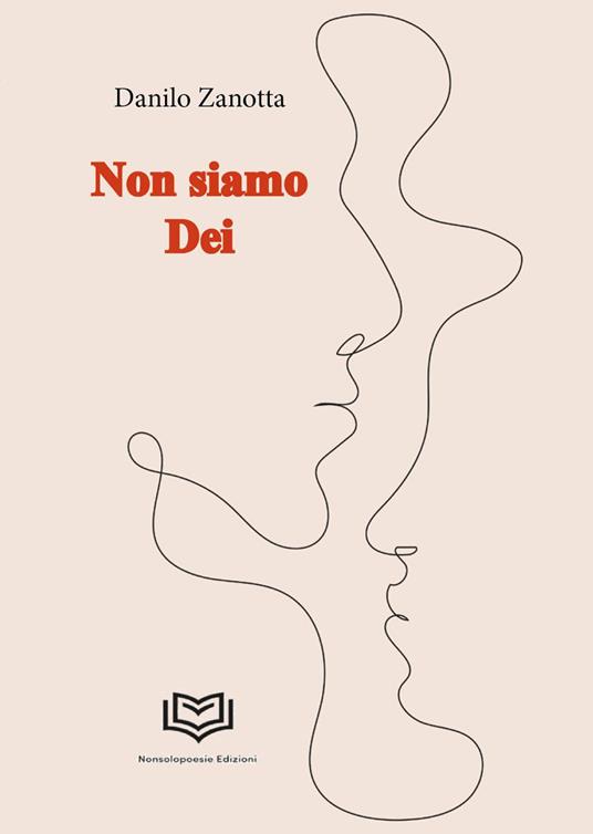 Non siamo dei - Danilo Zanotta - copertina