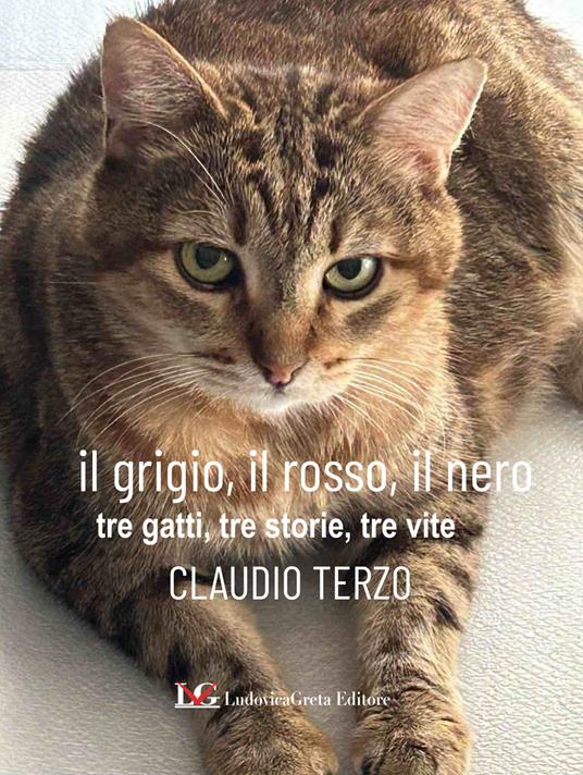 Il grigio, il rosso, il nero. Tre gatti, tre storie, tre vite. Ediz. illustrata - Claudio Terzo - copertina
