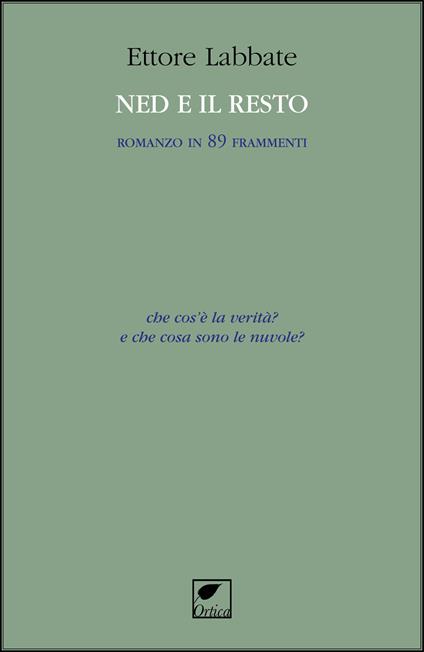 Ned e il resto. Romanzo in 89 frammenti - Ettore Labbate - copertina