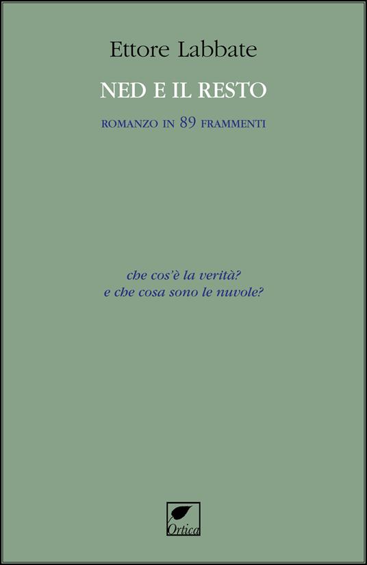 Ned e il resto. Romanzo in 89 frammenti - Ettore Labbate - copertina