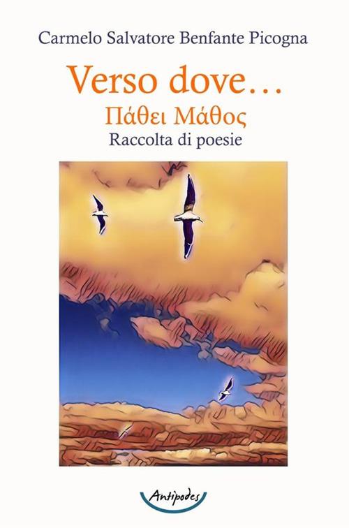 Verso dove… - Carmelo Salvatore Benfante Picogna - copertina