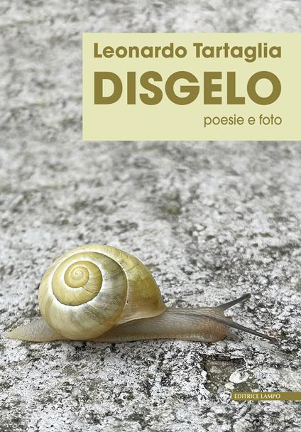 Disgelo. Poesie e foto - Leonardo Tartaglia - copertina