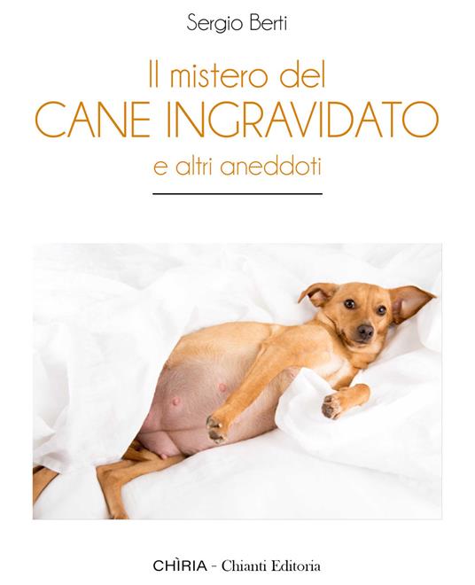 Il mistero del cane ingravidato. E altri aneddoti - Sergio Berti - copertina
