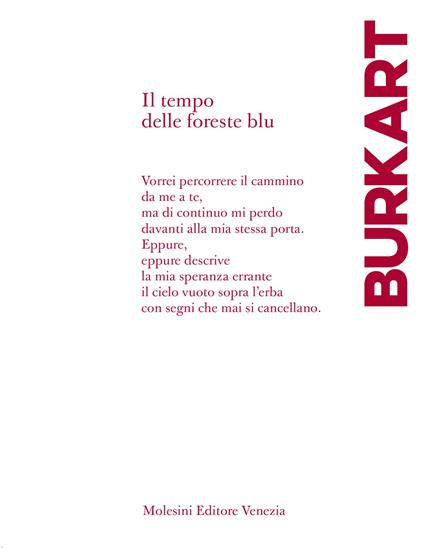 Il tempo delle foreste blu - Erika Burkart - copertina