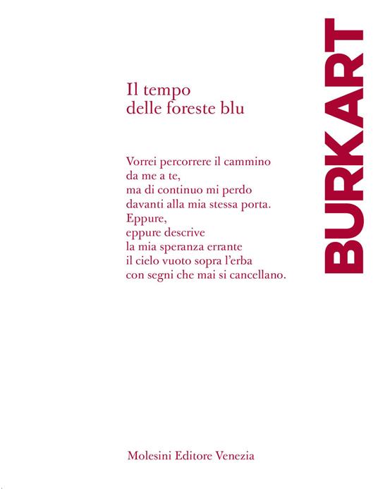 Il tempo delle foreste blu - Erika Burkart - copertina