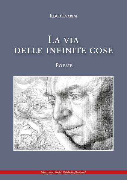 La via delle infinite cose - Ildo Cigarini - copertina