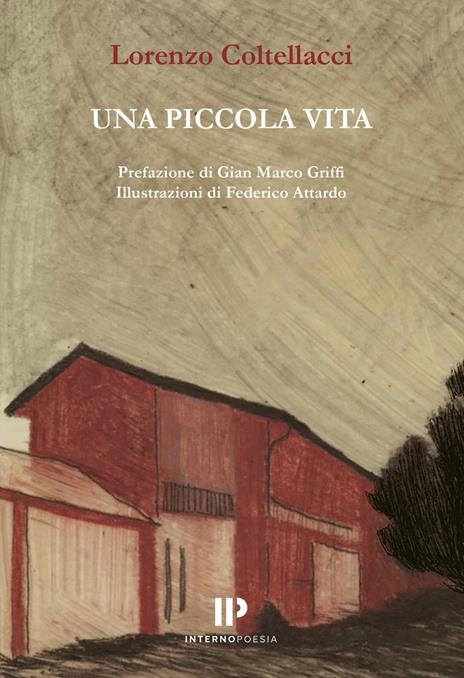 Una piccola vita - Lorenzo Coltellacci - copertina