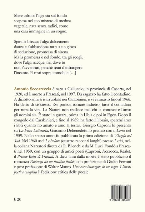 Una cara immagine in un sogno. L'opera poetica completa - Antonio Seccareccia - 2