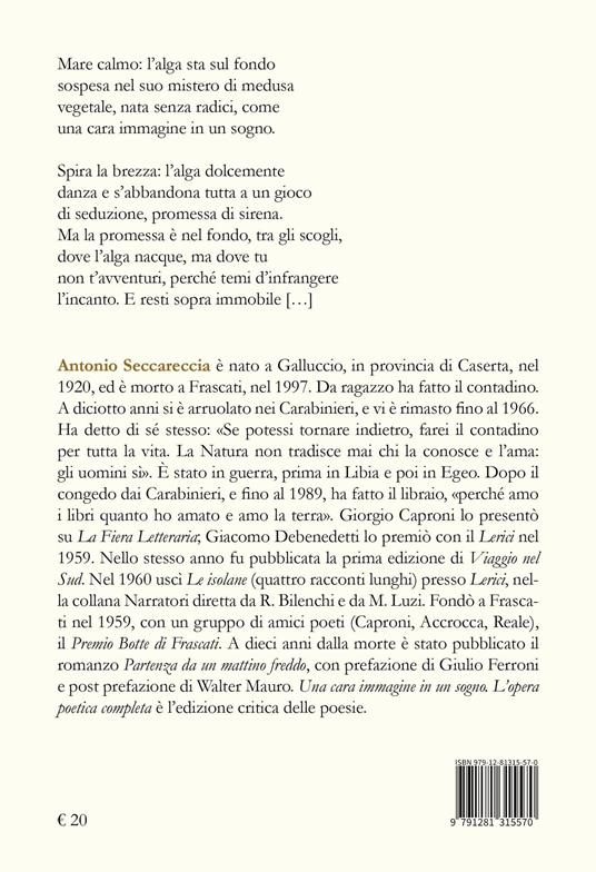 Una cara immagine in un sogno. L'opera poetica completa - Antonio Seccareccia - 2