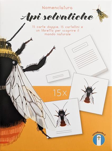 Api selvatiche. Nomenclatura - Valentina Gottardi,Danio Miserocchi,Maciej Michno - copertina