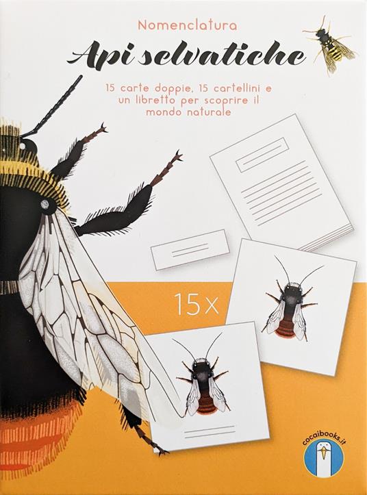 Api selvatiche. Nomenclatura - Valentina Gottardi,Danio Miserocchi,Maciej Michno - copertina